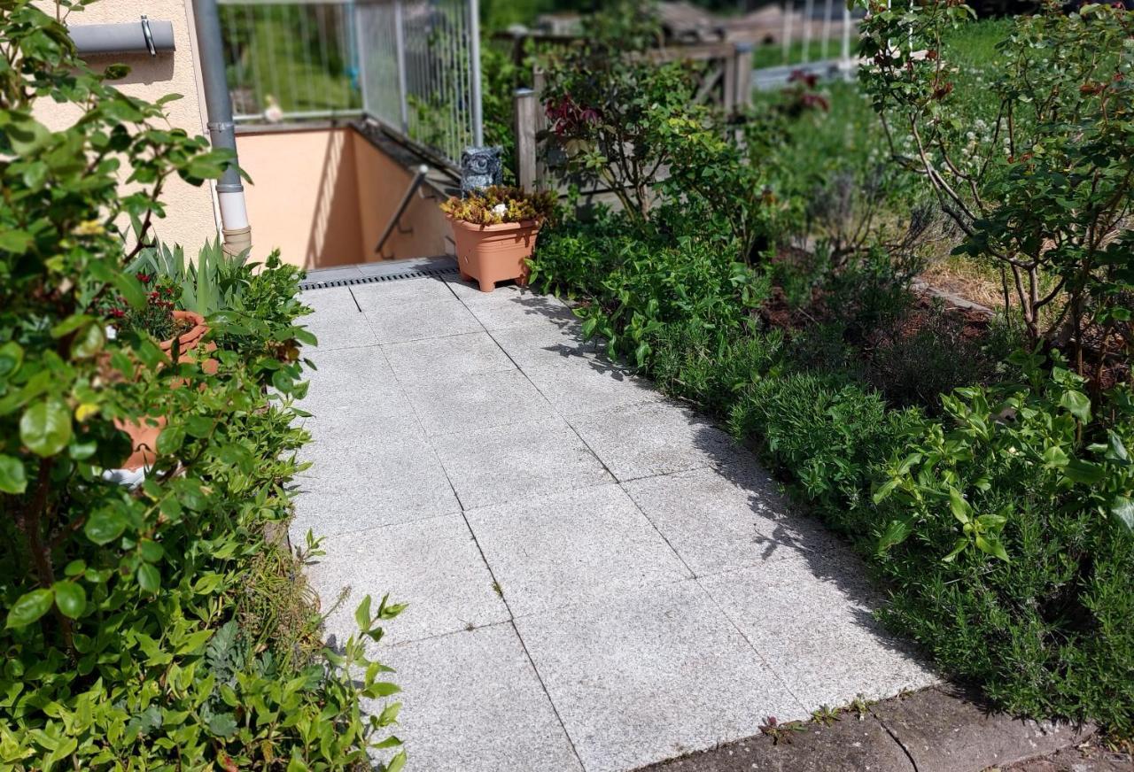 Ferienwohnung Freitag Vendersheim Экстерьер фото